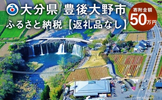 140-660 豊後大野市への寄付(返礼品はありません)1口 50万円