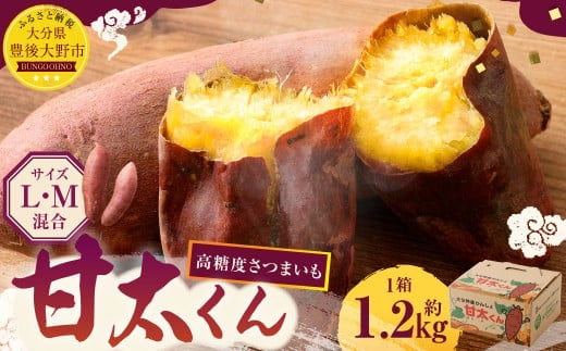 171-1134x1 【先行予約】 高糖度さつまいも 甘太くん 約1.2kg(Lサイズ2本・Mサイズ3本) サツマイモ 甘藷 かんしょ おやつ 焼き芋 【2025年11月下旬から2026年4月下旬発送予定】