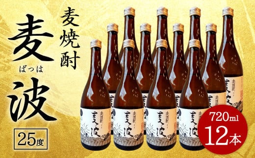 088-450x1 麦焼酎 麦波 ばっは 720ml 12本 セット 25度 焼酎