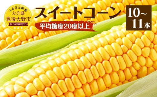 004-1058x2 【先行予約】 平均糖度20度以上 スイートコーン 約4.5kg前後 10本~11本 とうもろこし 【2026年6月下旬-7月下旬発送予定】
