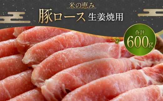 093-1018 豚ロース生姜焼用 600g