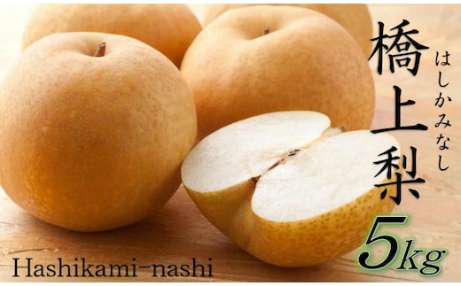 【先行予約】令和7年発送 / 辰口農園の橋上梨約5kg（品種:あきづき）_2431R