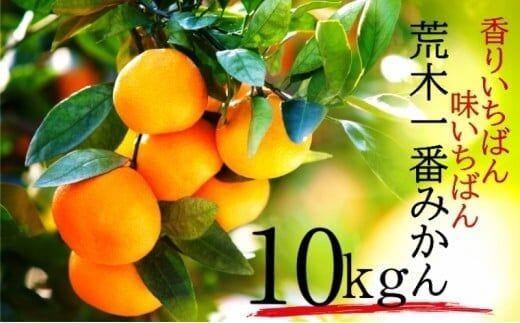 【先行予約・年明け配送】 令和8年1月から出荷開始 / 荒木一番みかん約10kg _1422R-2