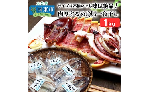 サイズは不揃いでも味は絶品!肉厚するめ烏賊一夜干し_1511R