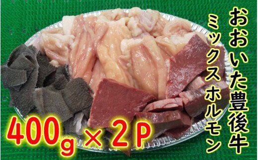 おおいた豊後牛ミックスホルモン800ｇ_1617R