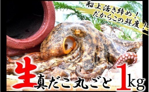 船上活き締め！生たこ丸ごと約1kg（約1～４杯）_1810R