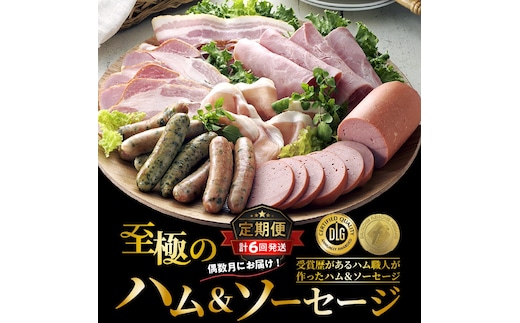 偶数月にお届け!至極のハム・ソーセージ定期便/計6回発送_2154R