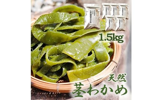 やわらか天然茎わかめ1.5kg（250g×6P）_2229R