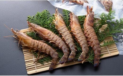 鮮度抜群！活き〆冷凍車海老（1.17kg）_29004C