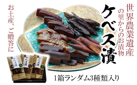 【10月から発送予定】西の関の酒粕で作ったこだわりの奈良漬け「季節のケベス漬け」1箱ランダム3種セット（計510g）_2106R