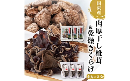 国東産の肉厚干し椎茸（冬菇）＆乾燥きくらげ_29060A