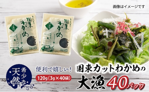 便利で嬉しい！国東カットわかめを大漁45パック_0005N