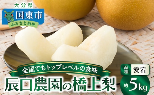 【先行予約】令和8年発送 /辰口農園の橋上梨約5kg(品種:愛宕)_1303R