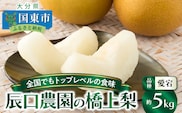 【先行予約】令和8年発送 /辰口農園の橋上梨約5kg(品種:愛宕)_1303R