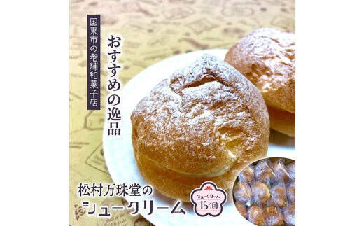 50年変わらない味！地元で人気のシュークリーム15個_1756R