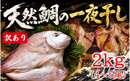 天然鯛の一夜干し 訳あり 2.0kg（４尾〜５尾） 干物 タイ おかず つまみ_1613R