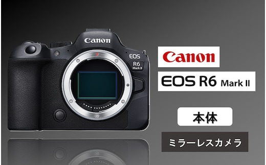 【Canon】 キヤノン ミラーレス カメラ EOS R6 MarkⅡ ボディ キャノン 一眼 家電_0036C