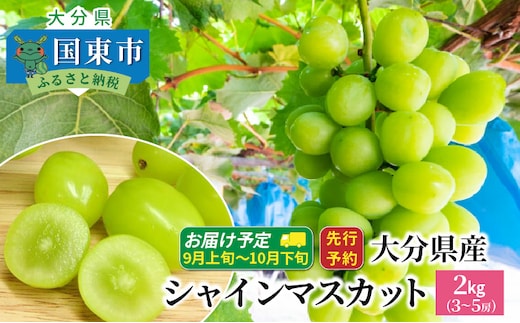 【先行予約】【令和8年発送】おおいたの豊潤シャインマスカット 約2㎏_1615Ｒ