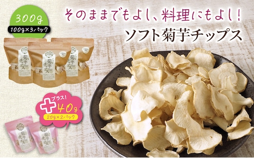 国東産 ソフト菊芋チップス 340g(100g×3袋・20g×2袋)_1935R