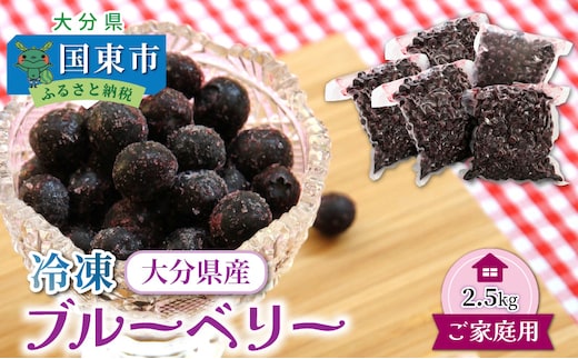 【ご家庭用】冷凍ブルーベリー2.5kg（大分県産）_1894R
