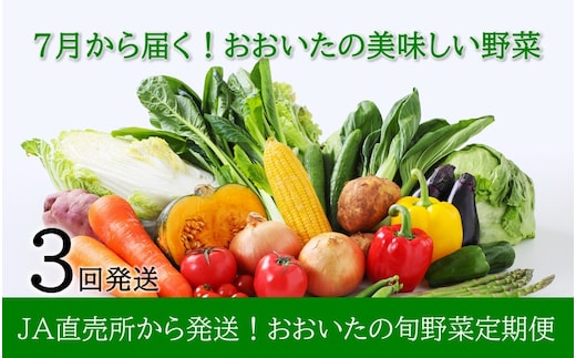 7月からお届け!おおいたの旬野菜定期便/計3回発送_2395R