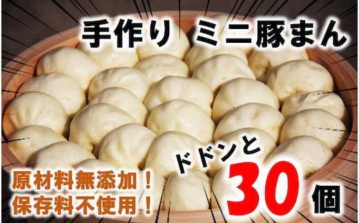 豚まん職人手作りの「ミニ豚まん30個」_1489R