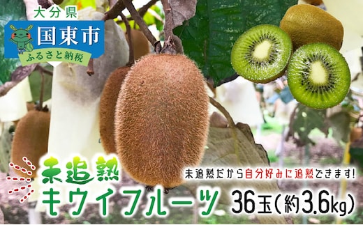 未追熟 キウイフルーツ 36玉（約3.6kg）_2302R