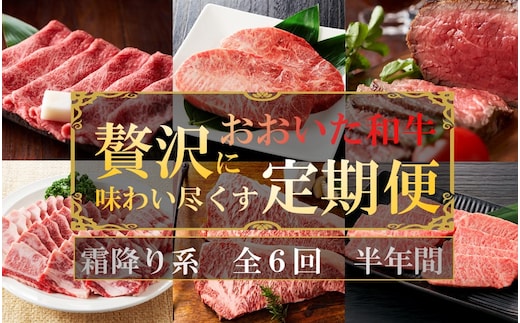 毎月お届け! おおいた和牛を贅沢に味わい尽くす半年間定期便 / 霜降り系 計6回_2313R