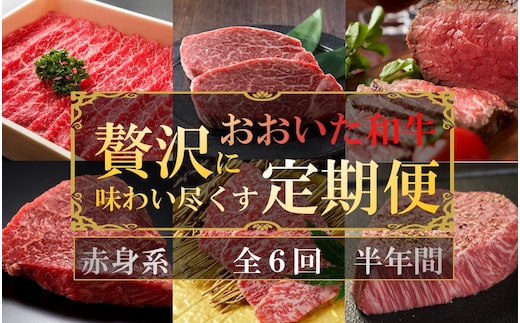 毎月お届け! おおいた和牛を贅沢に味わい尽くす半年間定期便 / 赤身系 計6回 _2312R