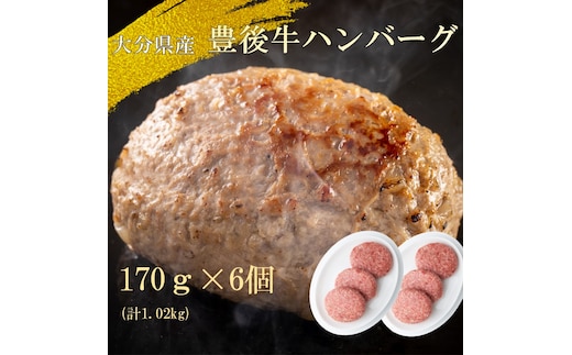 【黒毛和牛】豊後牛ハンバーグ計1.02kg(170g×6個)_2378R