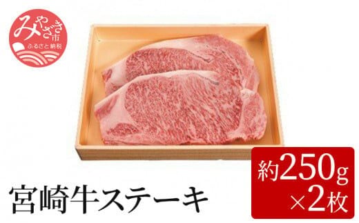 宮崎牛ステーキ＜約250g×2枚＞_M055-004_01