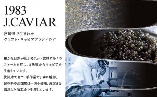 1983 J.CAVIAR バエリ クラシック (20g×4個セット) ジャパンキャビア_M017-037_02 | dショッピングふるさと納税百選