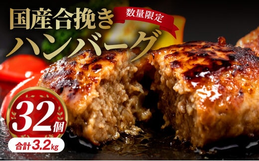数量限定 国産合挽きハンバーグ32個_M132-018_02
