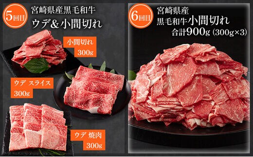 訳あり】<定期便>宮崎県産黒毛和牛・宮崎県産豚肉 贅沢6か月コース_