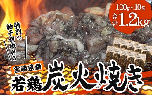 宮崎の名店「小料理ひゅう」県産若鶏炭火焼き冷凍パック 120g×10袋_M210-001_01