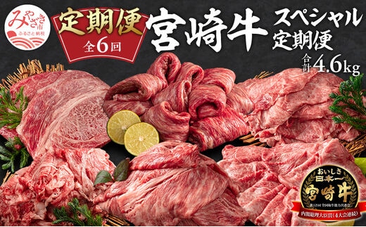 定期便 6ヶ月 お楽しみ 宮崎牛 スペシャル6種セット 計4.6kg_M241-T010