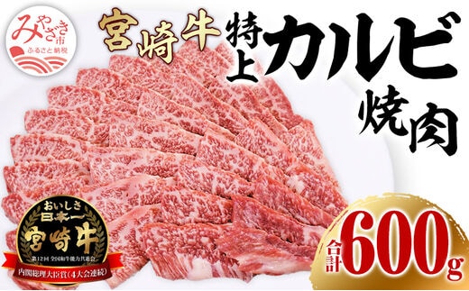 宮崎牛特上カルビ焼肉用(三角バラ)合計600g_M243-009_01