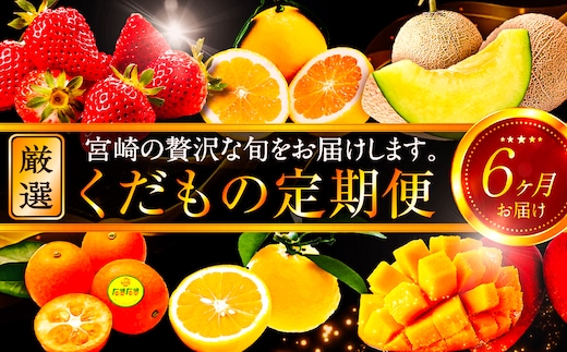《2026年発送先行予約》【数量・期間限定】青果店厳選！「3ヶ月お届け！くだもの定期便Vol.4」_M153-T024