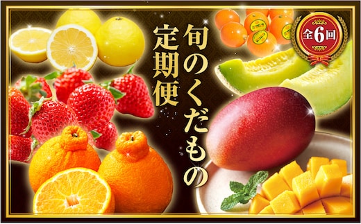《2026年発送先行予約》【数量・期間限定】旬のくだもの定期便【全6回】_M153-T040