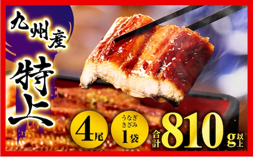 九州産うなぎ蒲焼4尾・うなぎ蒲焼きざみ1袋 計810g_M040-011-B