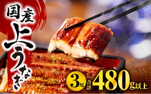 九州産うなぎ蒲焼3尾（計480g以上＆さんしょう、たれ付き）_M040-012