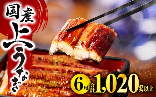 国産うなぎ 蒲焼6尾(計1020g以上) 鰻蒲焼用たれとさんしょうのセット(うなぎ1尾170g以上の鰻6尾からなるウナギの詰め合わせ)_M040-013_01