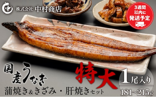 国産うなぎ 蒲焼き 特大サイズ(181～215g)・きざみ・肝焼きセット_M069-014_01