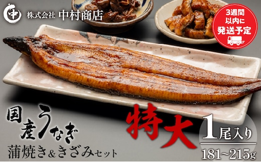国産うなぎ蒲焼き特大サイズ(181～215g)・蒲焼きざみセット_M069-017_01