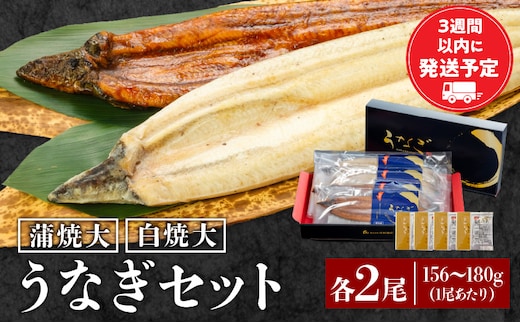 白焼大2尾・蒲焼大2尾セット_M069-018