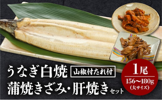 うなぎ白焼(大サイズ)・きざみ・肝焼きセット_M069-020