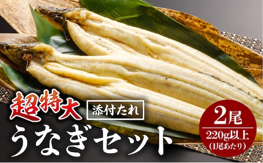うなぎ白焼(超特大サイズ) 2尾_M069-023