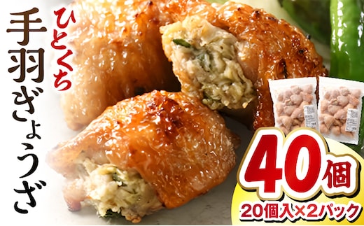ひとくち 手羽 ぎょうざ 計40個 20個入×2パック_M025-005
