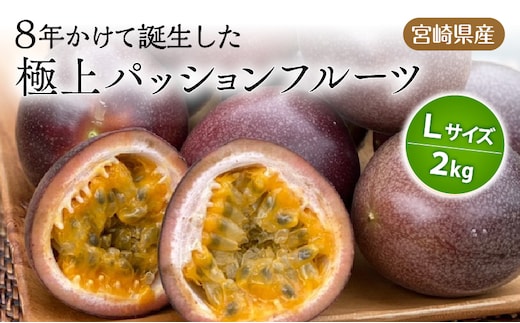 《2026年発送先行予約》【数量・期間限定】8年かけて誕生した宮崎県産極上パッションフルーツＬ 2kg_M057-005