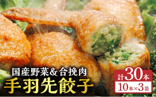 手羽先餃子30本入り_M025-001-03